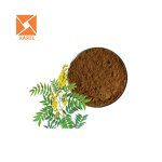 Senna Leaf Extract - Hot Sale Slimming Sennosides Natural Extract Powder