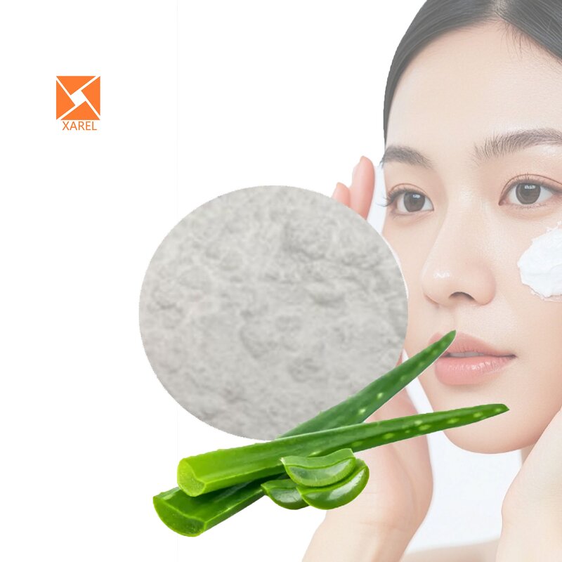 Aloe Vera Extract - Factory Supply 10%/20%/98% Aloin Leaf Powder