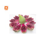 Cactus Fruit Extract - Factory Supply Natural Red Opuntia Ficus Water Soluble Powder