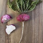 Red Maca Root Extract - Manufacturers Supply 10:1 Soluble Whitening Powder