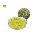 Quercetin Powder - Herbal Vitamin P Sophora Japonica Extract 95% Pure Powder