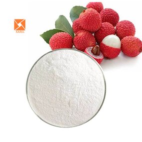 Lychee Juice Powder - Food Grade Natural Organic Instant Water Soluble Extract
