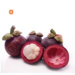 Mangosteen Extract - Food Grade Natural Organic Anti-Inflammatory Fruit Powder