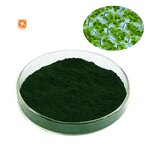 Chlorophyll Powder - Pure Food Grade Water Soluble Copper Sodium Salt Extract