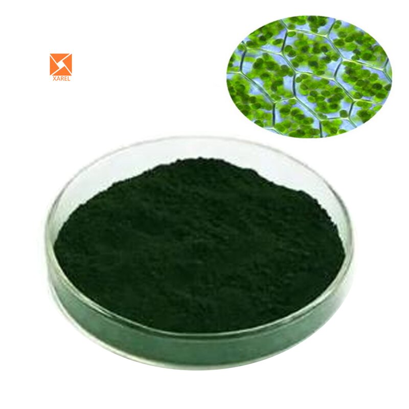 Chlorophyll Powder - Pure Food Grade Water Soluble Copper Sodium Salt Extract