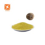 Goat Bile Extract - Concentrated Natural Extract Powder Manufacturer