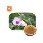 Marshmallow Root Extract - Pure Natural Water Soluble Natural Extract Powder