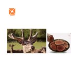 Deer Antler Extract - Factory Supply Male Enhancement Supplement Powder