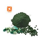 Chlamydomonas Reinhardtii Extract - Factory Wholesale Super Green Powder