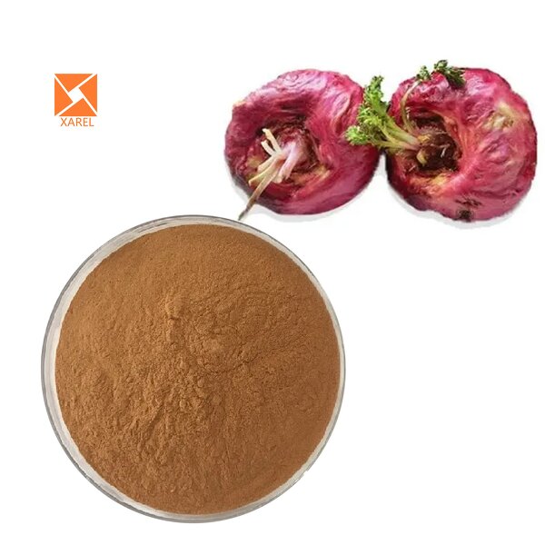 Red Maca Root Extract - Manufacturers Supply 10:1 Soluble Whitening Powder