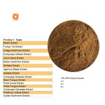 Antrodia Camphorata Extract - High Quality Taiwanofungus Camphoratus Powder