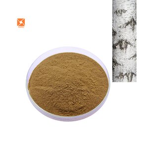 Birch Sap Extract - Factory Supply Water Soluble Betula Platyphylla Powder