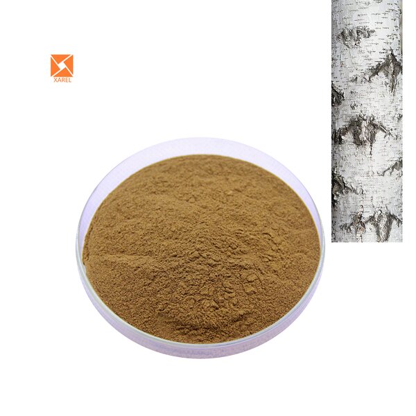 Birch Sap Extract - Factory Supply Water Soluble Betula Platyphylla Powder