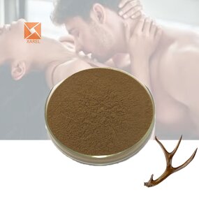Deer Antler Extract - Factory Supply Male Enhancement Supplement Powder