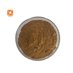 Herbal Extract Powder - Factory Supply Food Grade Natural Chinese Herb Supplement