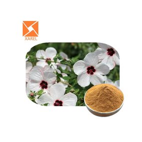Marshmallow Root Extract - Pure Natural Water Soluble Natural Extract Powder