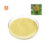 Pine Pollen Powder - Natural Superfood 99% Pure Cell-Broken Extract