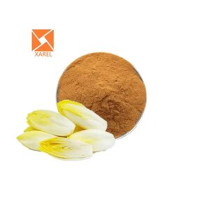 Jerusalem Artichoke Extract - Natural Sweetener Inulin Chicory Root Powder