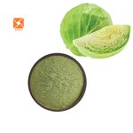 Cabbage Juice Powder - Pure Nature Organic Spray Dried Dehydrated Green Powder