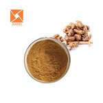 Periostracum Cicadae Extract - Free Sample Water Soluble Cicada Shell Powder
