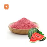 Watermelon Extract - Food Grade Instant Natural Fruit Juice Powder Supply