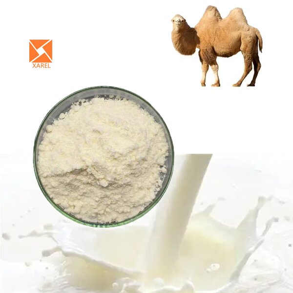 Camel Milk Powder - Factory Supply High Protein 99% Water Soluble Instant