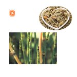 Equisetum Hyemale Extract - Factory Supply Scouring Rush Powder Extract