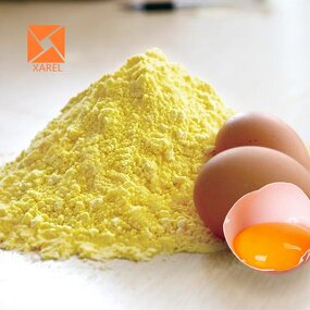 Egg Yolk Powder - Factory Supply 99% Water Soluble Food Grade Organic