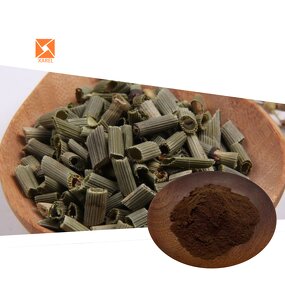 Equisetum Hyemale Extract - Factory Supply Scouring Rush Powder Extract