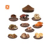 Mushroom Blend Powder - Shiitake Maitake Reishi Cordyceps Coffee Mix