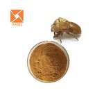 Periostracum Cicadae Extract - Free Sample Water Soluble Cicada Shell Powder