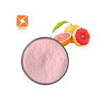 Grapefruit Extract Powder Manufacturer - High Quality Natural Supply