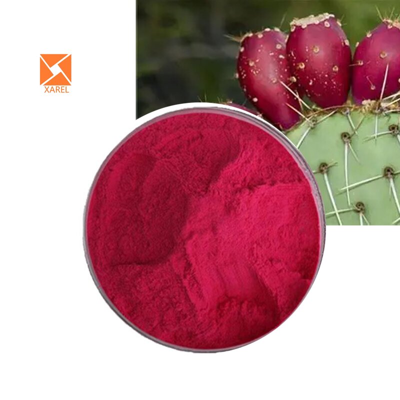 Cactus Fruit Extract - Factory Supply Natural Red Opuntia Ficus Water Soluble Powder