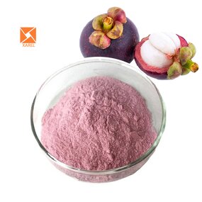 Mangosteen Juice Powder - Food Grade Natural Organic Pink Color Fruit Extract