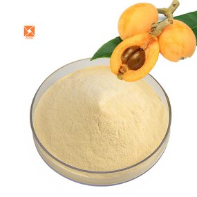 Loquat Juice Powder - Water Soluble Food Grade Concentrate Spray Dried Extract