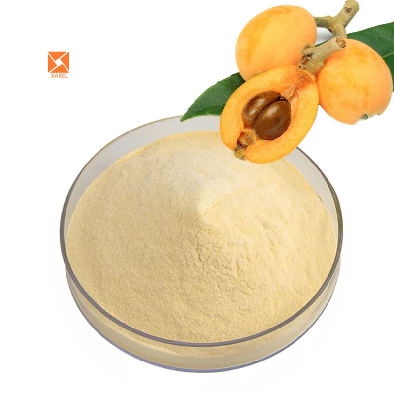 Loquat Juice Powder - Water Soluble Food Grade Concentrate Spray Dried Extract