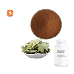 Epimedium Extract - Factory Supply Icariin 5%/98% Male Enhancement Supplement