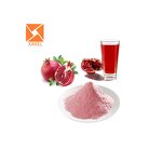 Pomegranate Juice Powder - Halal GMP ISO Pure Natural Spray Dried Extract