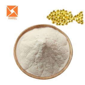 Omega-3 Fish Oil Powder - Bulk Food Grade Microencapsulated DHA/EPA 10%