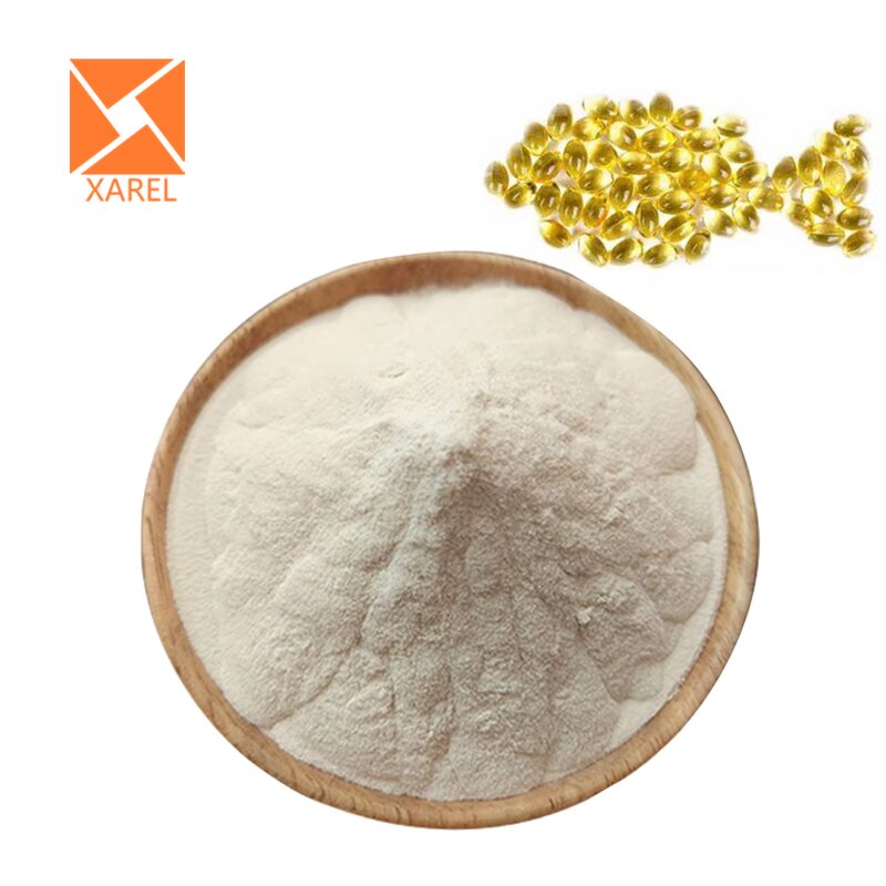 Omega-3 Fish Oil Powder - Bulk Food Grade Microencapsulated DHA/EPA 10%