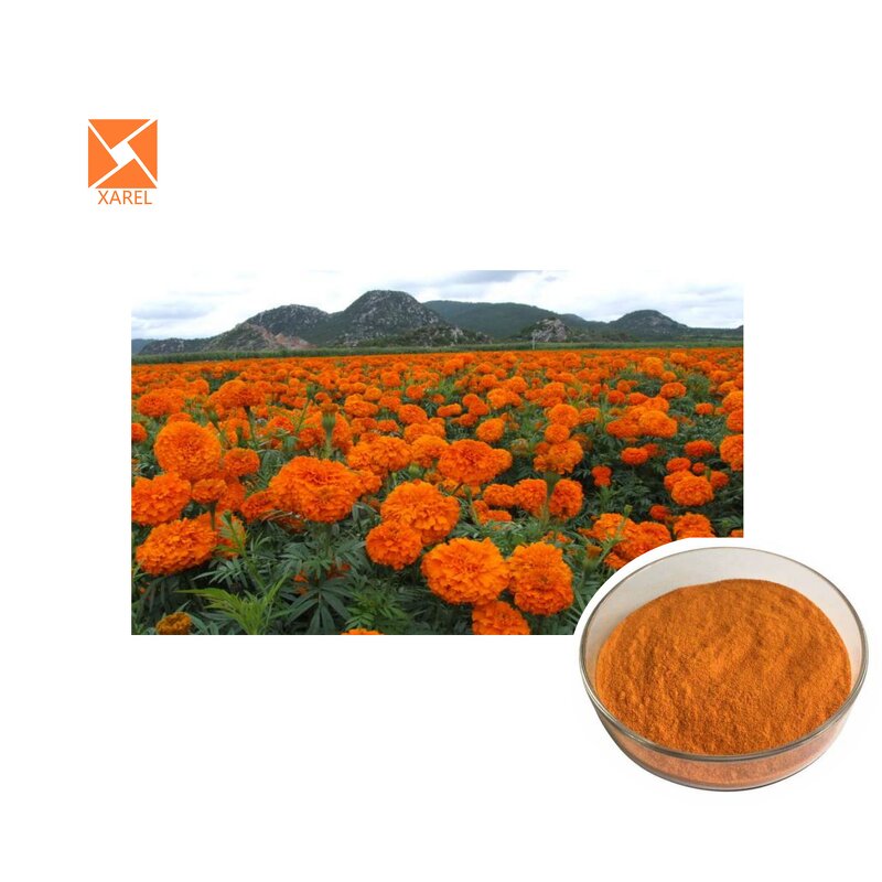 Marigold Flower Extract - Health Eye Supplement Lutein 20% Natural Powder