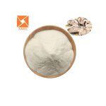Oyster Extract - Free Sample Animal Extract Collagen Peptide Powder