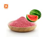 Watermelon Extract - Factory Supply Bulk Instant Natural Fruit Juice Powder