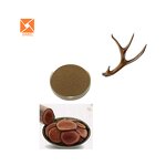 Deer Antler Extract - Factory Supply Male Enhancement Supplement Powder