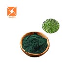 Chlorella Powder - Novel Food Organic Cell Wall Cracked Extract