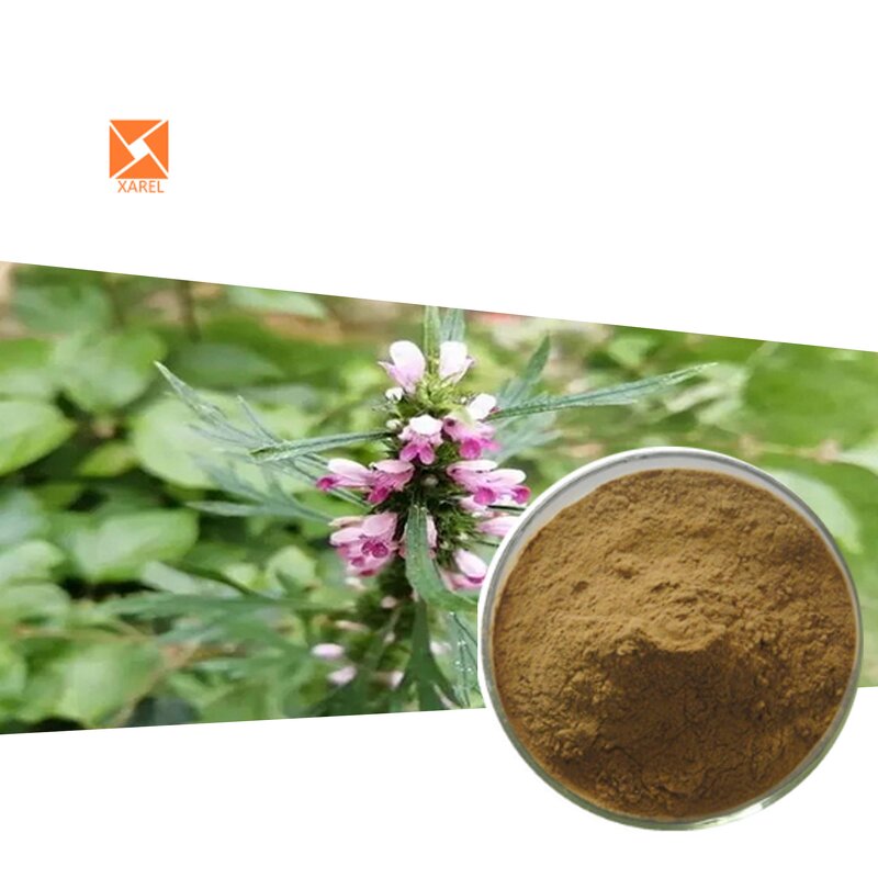Motherwort Extract - Factory Supply Equisetum Hyemale L Yi Mu Cao Powder