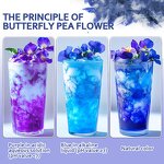 Butterfly Pea Flower Pollen - Pure Nature 1000 Mesh Blue Tea Extract Powder