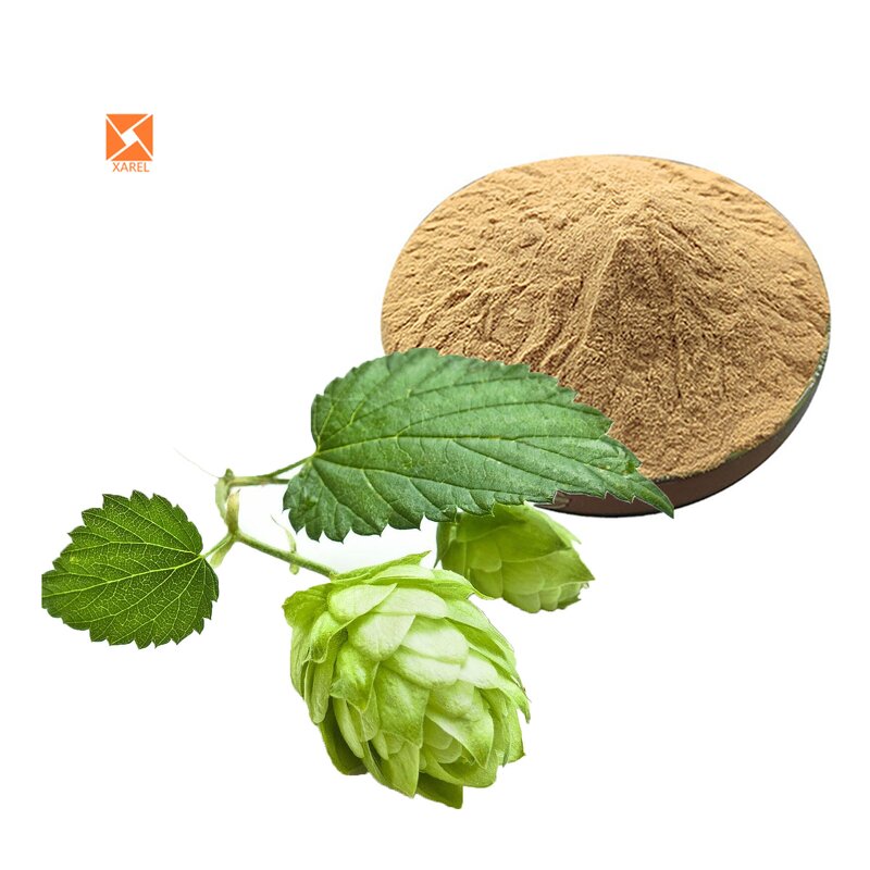 Hops Flower Extract - Factory Supply Water Soluble 20:1 Flavonoids 4% Powder
