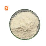 Camel Milk Powder - Factory Supply High Protein 99% Water Soluble Instant