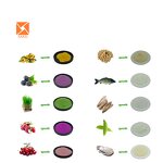 Green Lipped Mussel Extract - Top Grade Factory Wholesale High Protein Extract